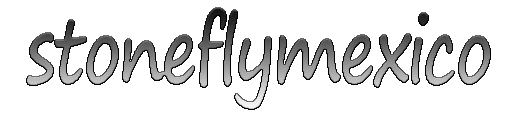 Stoneflymexico